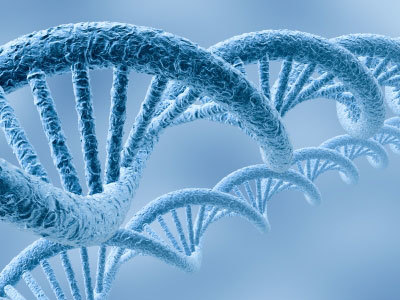 生物專業考研方向解析與頂尖院校及生物科技開發前景展望